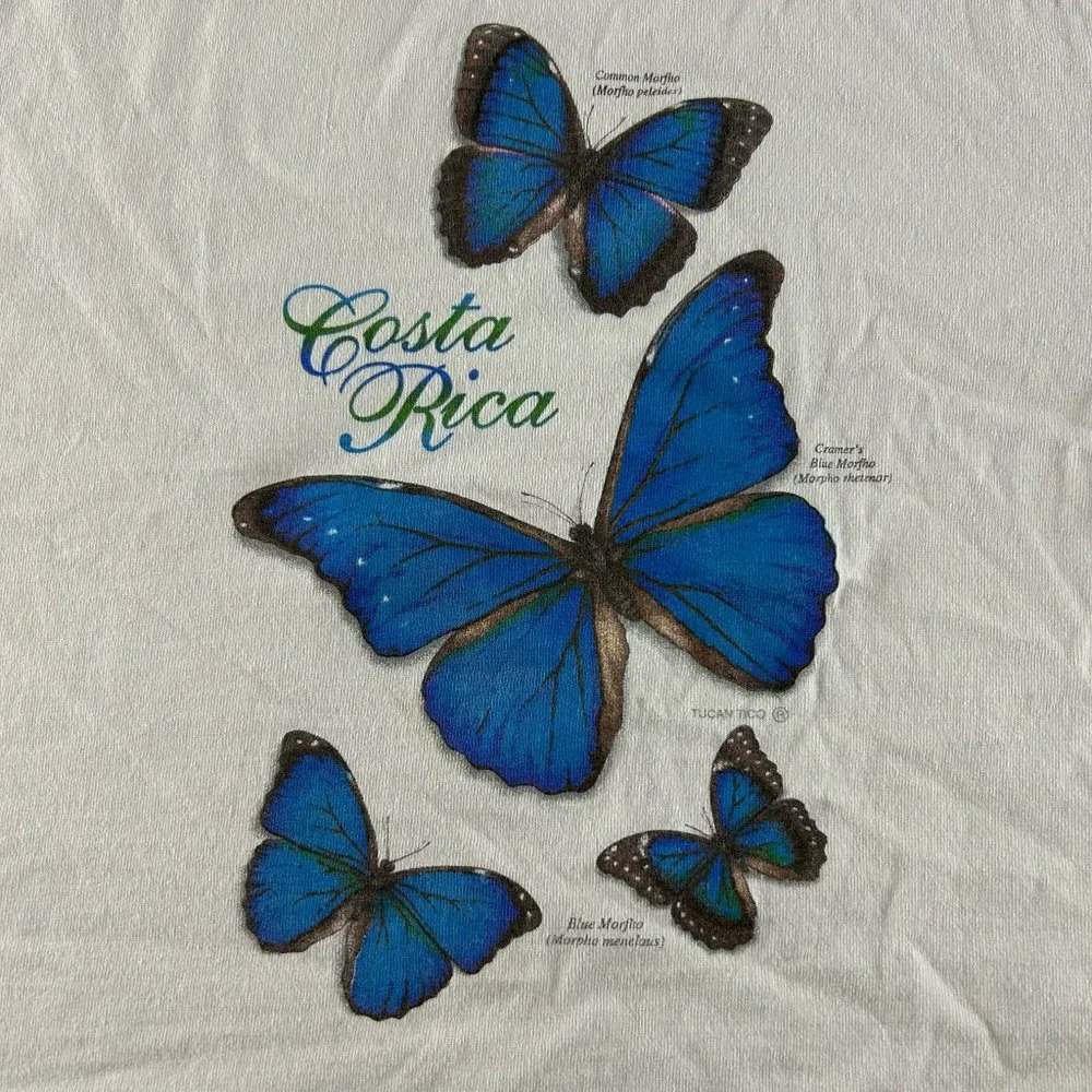 Vintage 90s Butterfly Identification Costa Rica Tee Tucan Tico Wildlife … - Picture 7 of 15